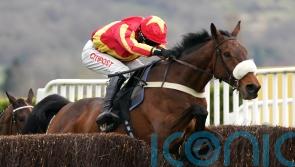 No place like home – Coole Cody heading back to Cheltenham