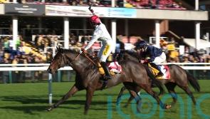 Victory for England in Haydock’s World Cup race