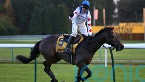 Protektorat stars with comfortable Betfair Chase verdict