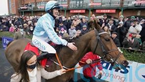 Honeysuckle firmly on course for record-breaking fourth Hatton’s Grace