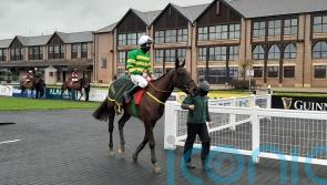 Drinmore could come into the reckoning for Thedevilscoachman