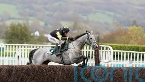 Eldorado Allen booked for King George assignment