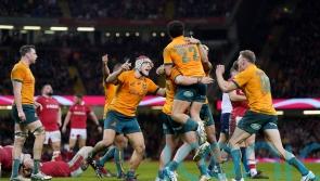 Australia’s stunning comeback leaves Wayne Pivac’s Wales future in severe doubt