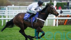 Henderson confirms Kempton next for ‘frighteningly good’ Constitution Hill