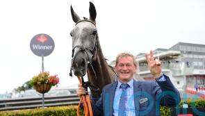 Princess Zoe team mulling hurdles switch