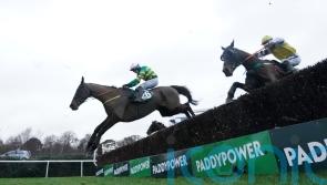 Aintree the aim once more for Enjoy D’Allen