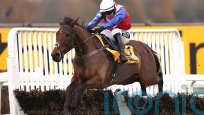 Noel Fehily eyeing Sandown raid with Love Envoi and Tahmuras