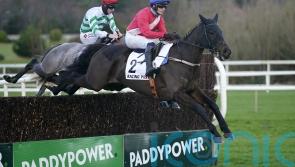 Ferny Hollow suffers season-ending tendon injury