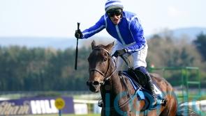 Energumene due to return at Cork