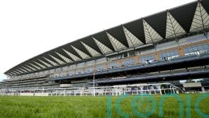 Inspection called ahead of Ascot&rsquo;s Friday card