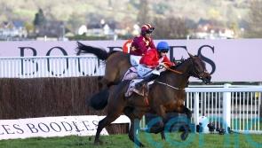 A Plus Tard spearheads De Bromhead’s Savills Chase squad