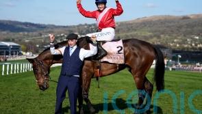 ‘No pressure’ to run A Plus Tard if not spot on for Leopardstown