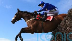 Magical Cue Card was one of jumping’s brightest stars