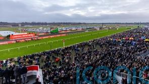 Kempton team poised for ‘sensational’ Boxing Day card