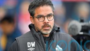 Norwich confirm appointment of David Wagner as club’s new head coach