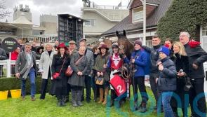 I can’t believe it actually happened – Noel Fehily savours a huge day