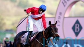 Thompson would have no qualms with A Plus Tard heading straight to Cheltenham