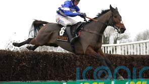 Pic D’Orhy chasing another big Saturday success for Nicholls