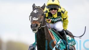 Shishkin ‘back in action’ and pencilled in for Ascot Chase return