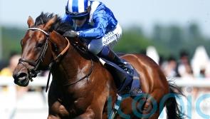 Baaeed the world’s best on turf – and only Flightline ranked higher