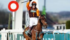 Noble Yeats forced to miss Lingfield engagement