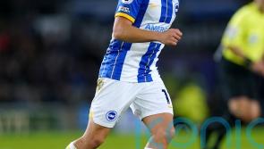 Arsenal reach agreement with Brighton for Belgium forward Leandro Trossard