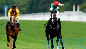 Winter Derby-bound Pyledriver still Dwyer’s ride when he returns from injury