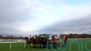 Haydock calls off Peter Marsh Chase card