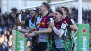 Harlequins cruise into last 16 of Heineken Champions Cup