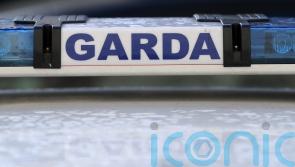 Garda member left with &lsquo;life-long lasting deformities&rsquo; to his finger, court told