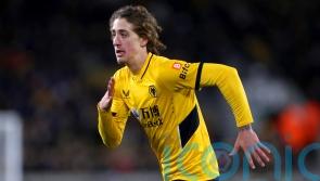 Fabio Silva loaned to PSV after Wolves cancel his stay at Anderlecht