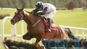 Teahupoo advertises Stayers’ claims with Galmoy glory