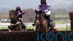Stage Star produces fine performance off top-weight at Cheltenham