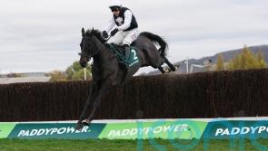 Third Time Lucki back to winning ways at Sandown