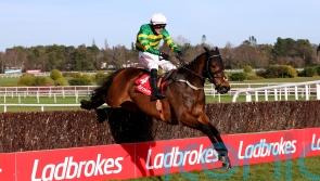 Gentleman De Mee shocks hotpot stablemate Blue Lord