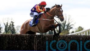 Vaucelet likely to spearhead David Christie’s Cheltenham hopes