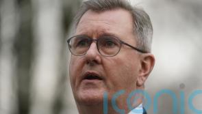 Verdict underlines need for political solution to NI Protocol – DUP leader