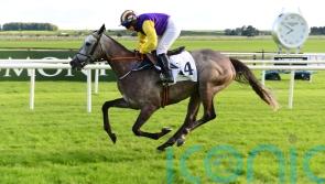 Mullins favouring Mares’ assignment for Princess Zoe