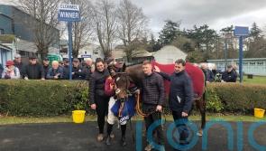 Monty’s Star shines in one-two for De Bromhead in Clonmel feature