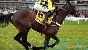 Shishkin ‘100 per cent’ after Ascot – with Ryanair Chase still favoured next