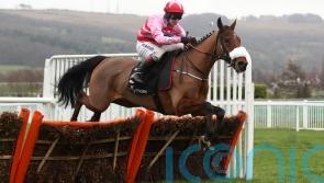 Murphy favouring three-mile test at Aintree for Brewin’upastorm