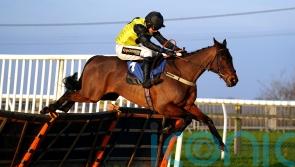 Aucunrisque to stick to hurdles at Cheltenham