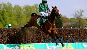 Hewick in ‘great old form’ – but Hanlon on Gold Cup weather watch