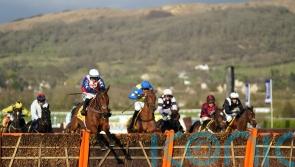 Fehily looks to ‘unbelievable’ Envoi for further Festival glory