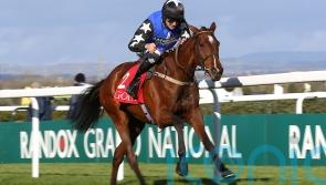 Festival absentee Ashroe Diamond rerouted to Fairyhouse
