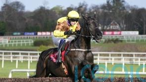 Galopin Des Champs tops Gold Cup field