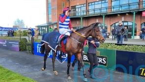 ‘All systems go’ – Three Card Brag an ace to play for Elliott in Albert Bartlett