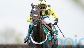 Shishkin looked like he wanted Gold Cup trip, says Henderson