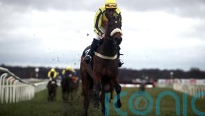 Willmount to bypass Aintree and go novice hurdling next year