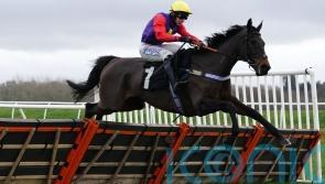 Dashel Drasher team lodge Stayers’ Hurdle appeal